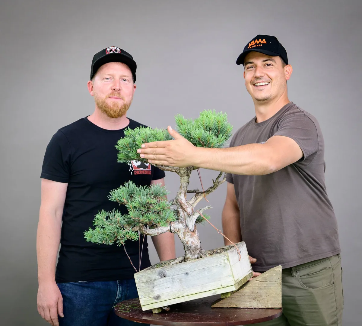 Beim Bonsai-Kreativ-Workshop mit Yannick Kiggen: Bearbeitung einer Kiefer mit dichter Krone und gedrahteten Ästen.