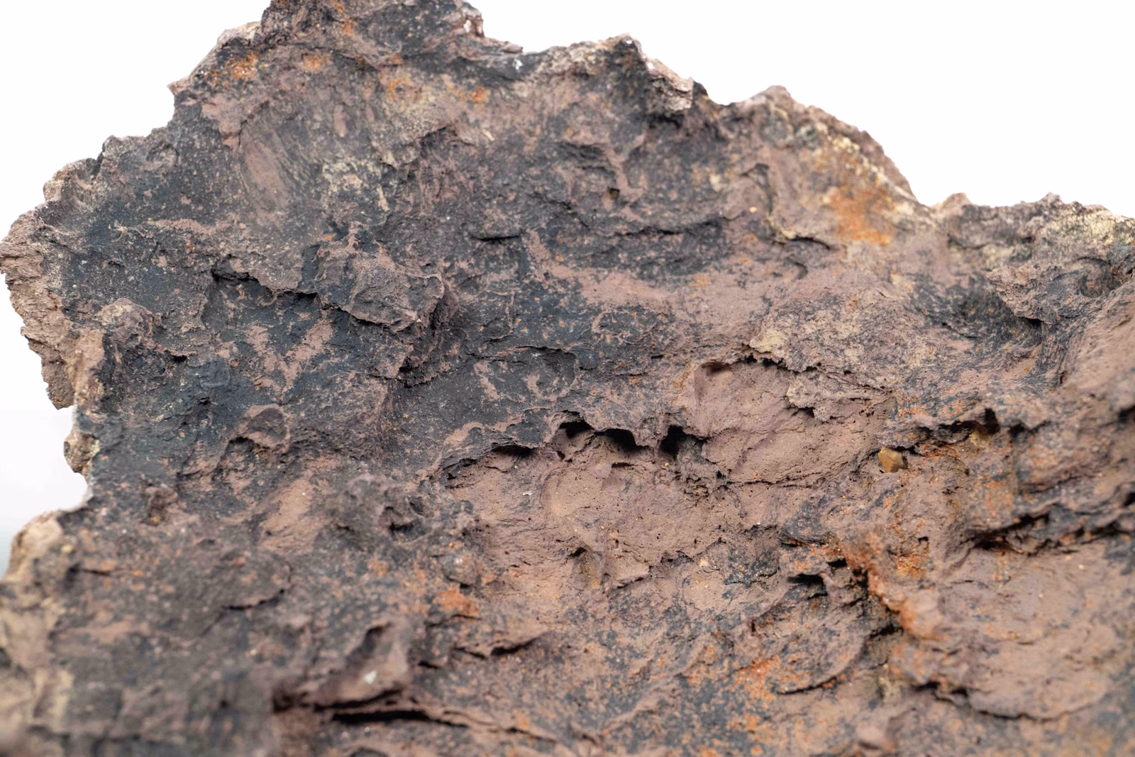 Close-up of the dark and brown surface texture of the planting area of Slab No. 63