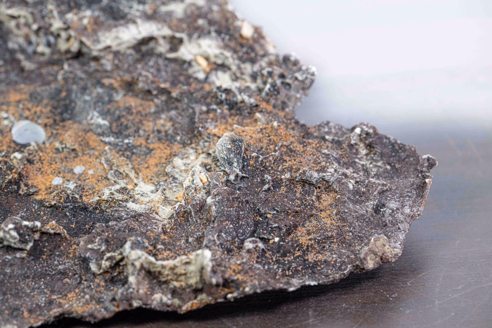Nahaufnahme der unregelmäßigen Vorderkante und der Pflanzfläche von Slab No. 65
