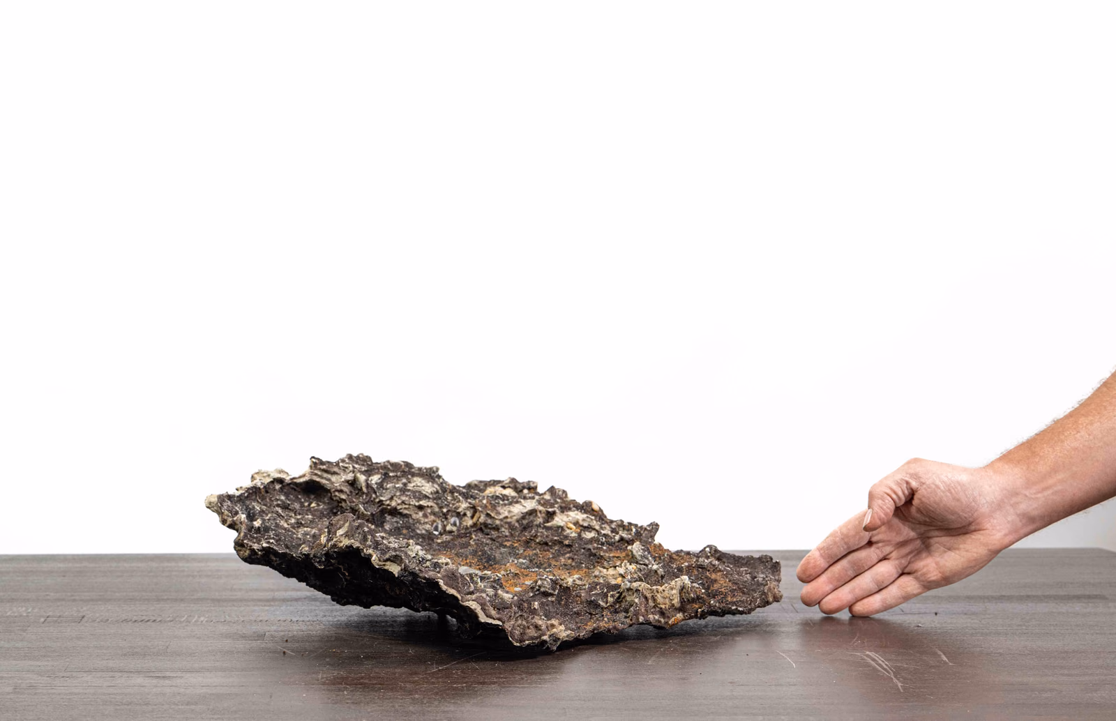 Slab No. 65 mit Blick entlang des gewellten Randes in die offene Pflanzfläche