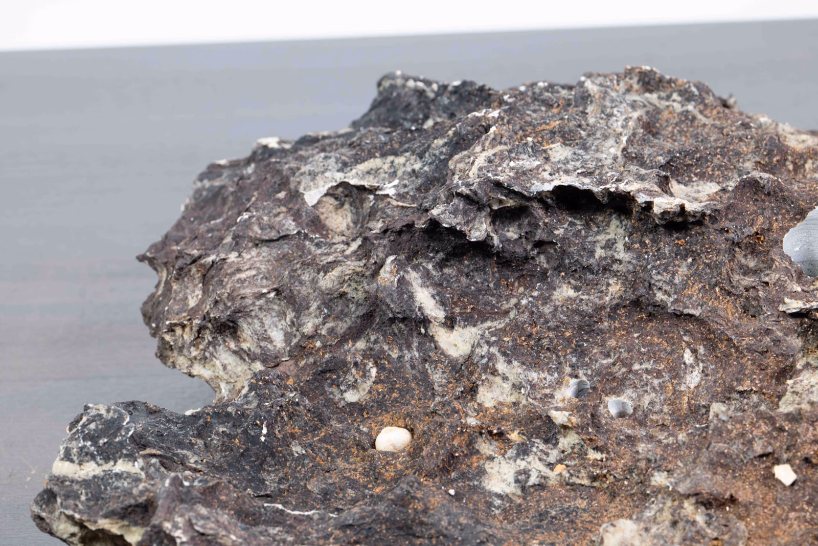 Nahaufnahme der Pflanzfläche von Slab No. 65 mit sichtbaren Öffnungen und unregelmäßiger Oberflächenstruktur