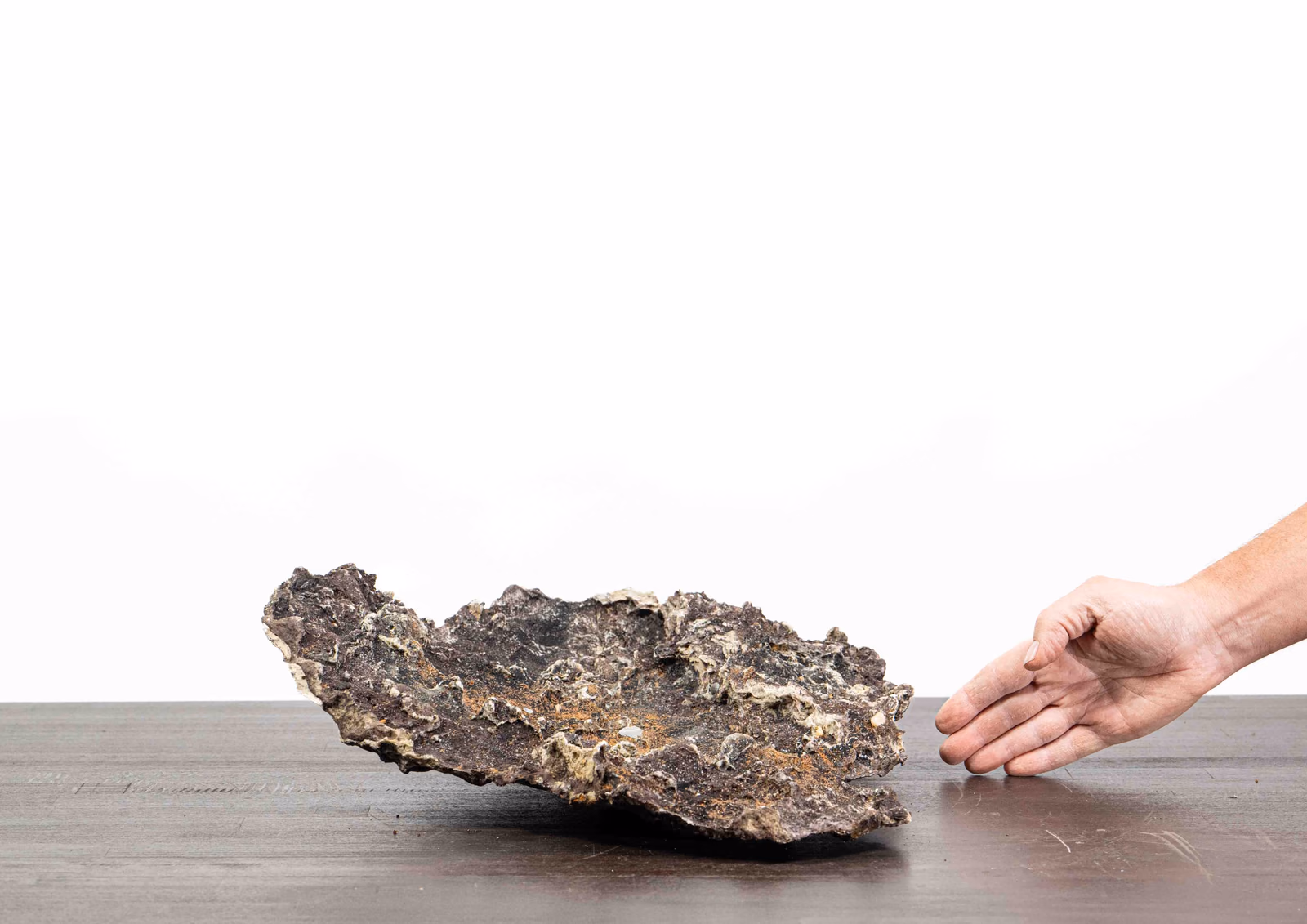 Slab No. 65 aus der Gegenrichtung mit Blick auf die Pflanzfläche und die seitlich ansteigende Kontur